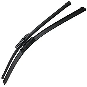 Moulding (Windshield)