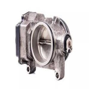 Throttle Body/Throttle Valve Housing