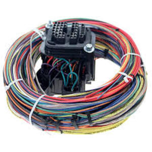 Wiring Harness (Engine)